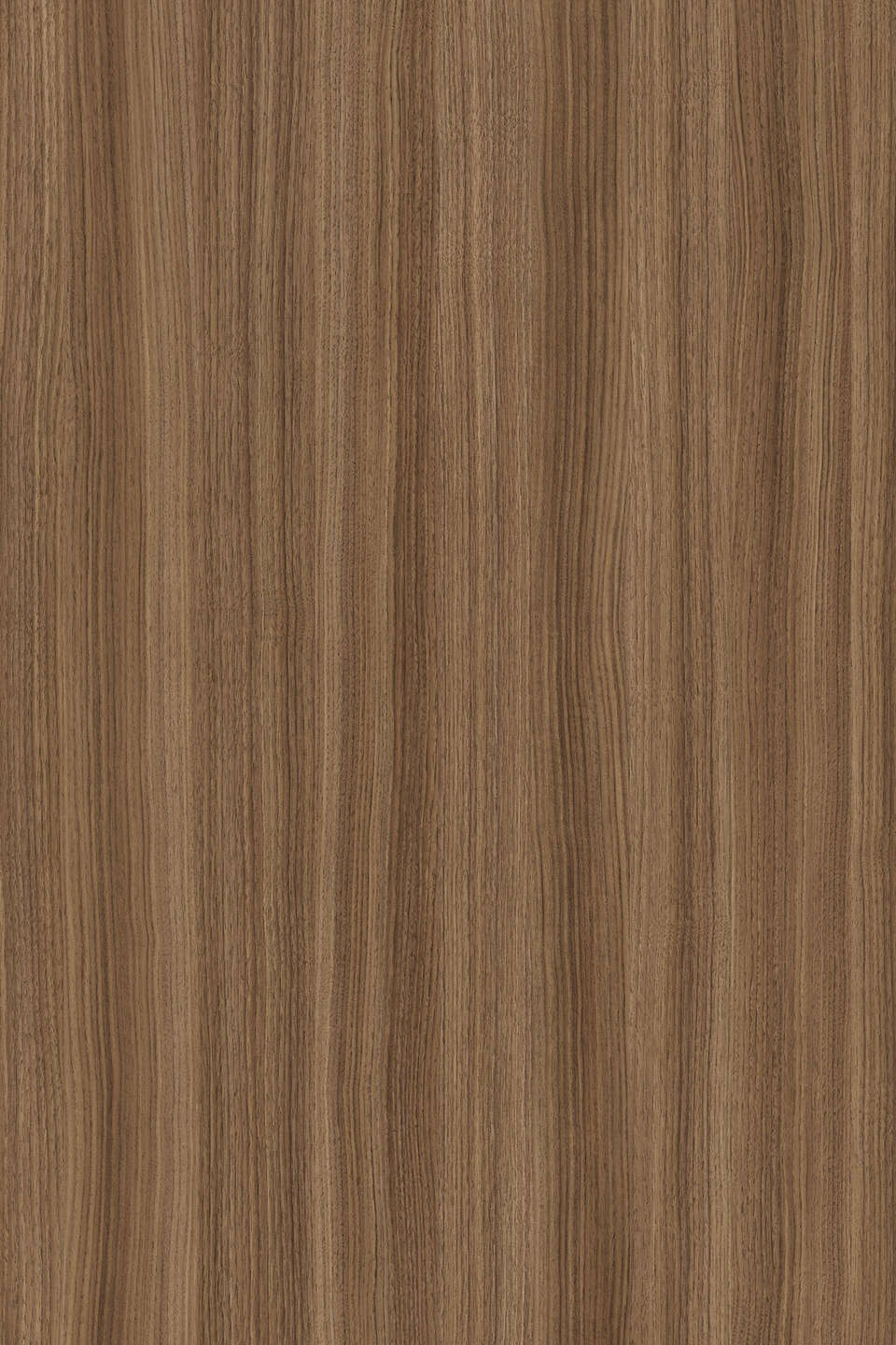 K546_960x0_fit_478b24840a Ламинирано ПДЧ K546 RW 2800/2070/18 Caramel Franklin Walnut - Image 1